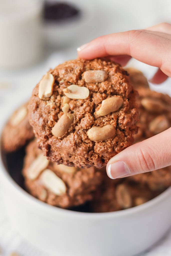 Vegan Oatmeal and Peanut Butter Cookies