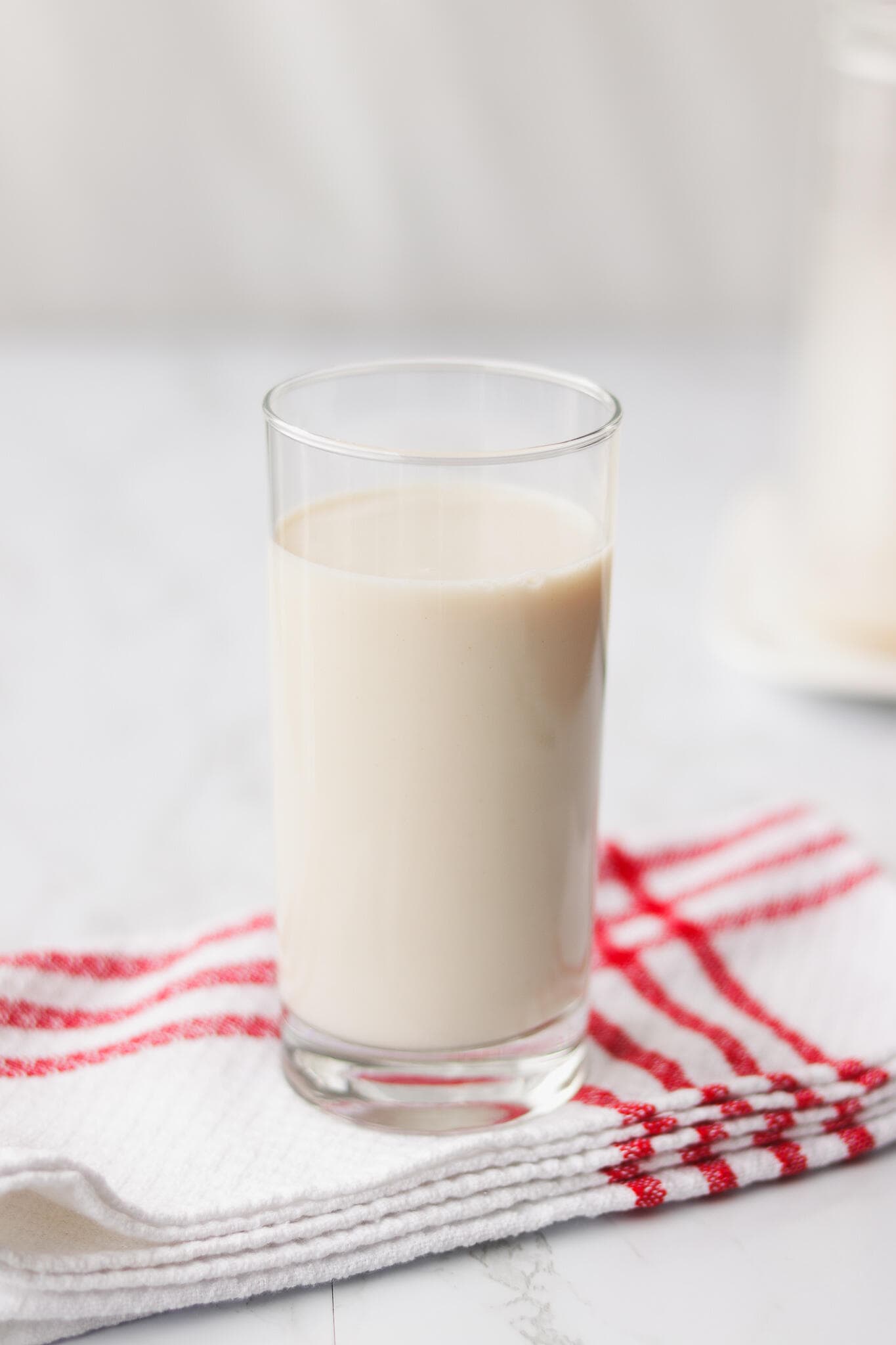 Homemade Plant-Based Milk with 2 Ingredients